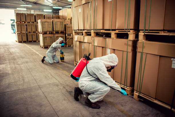 Best Pest Control for Homes  in Clinton, OH