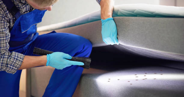Best Affordable Pest Control Services  in Clinton, OH