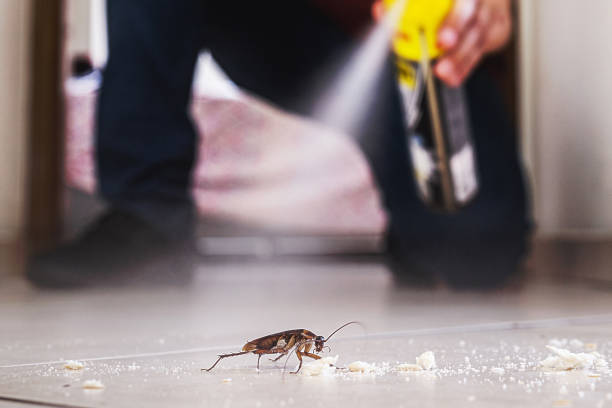 Best Pest Prevention Services  in Clinton, OH