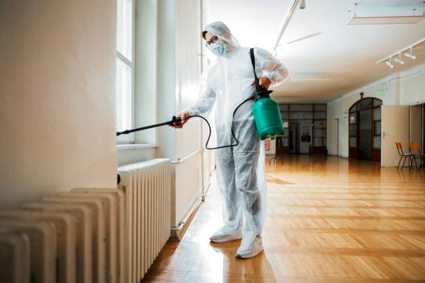 Best Insect Control  in Clinton, OH