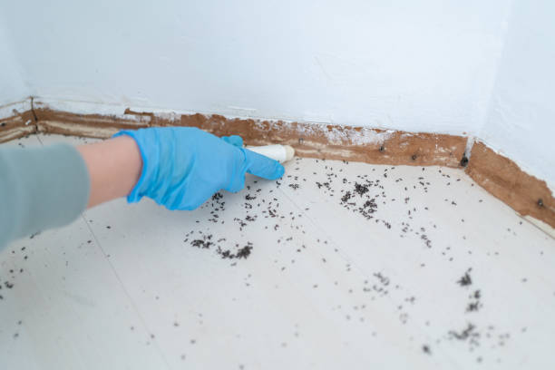 Best Pest Control for Businesses  in Clinton, OH